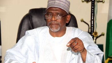 Adamu Adamu, Education Minister
