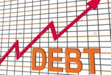 Nigeria's debt profile