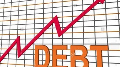 Nigeria's debt profile
