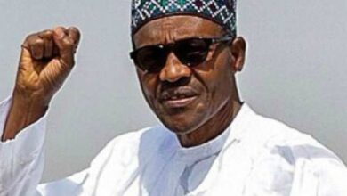 Buhari lauds release of railway passengers