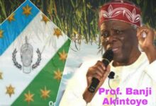 Yoruba Leader, Prof Banji Akintoye - crediblenews.com.ng