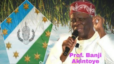 Yoruba Leader, Prof Banji Akintoye - crediblenews.com.ng