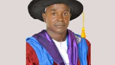 Professor Dantani Wushishi