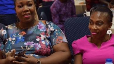 Pistis Foundation - Credible News