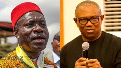 APGA leader, Peter Obi,