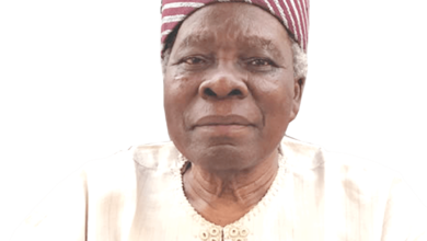 Professor Banji Akintoye - crediblenews.com.ng