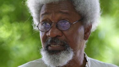 Professor Wole Soyinka - crediblenews.com.ng