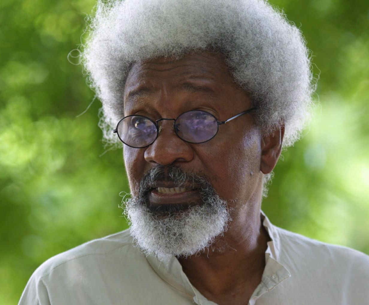 Professor Wole Soyinka - crediblenews.com.ng