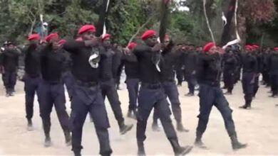 ESN and IPOB - crediblenews.com.ng
