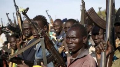 GUNMEN IN NIGERIA - crediblenews.com.ng