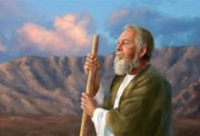 Prophet