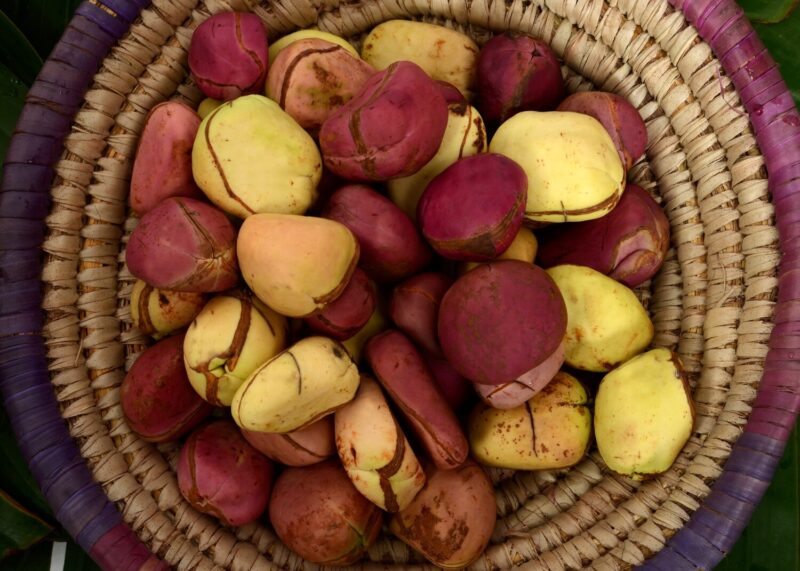 Kola Nuts