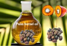 Palm kernel oil