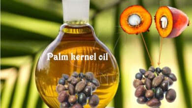 Palm kernel oil