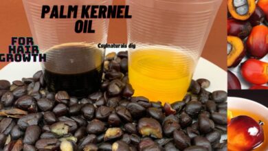 Palm kernel oil edibility