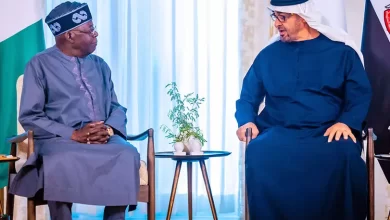 UAE and President Tinubu