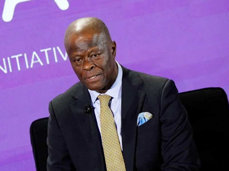 Finance Minister, Wale Edun