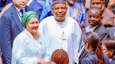 Vice-President Kashim Shettima represents President Tinubu at UNGA