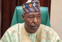 Governor Zulum of Borno State