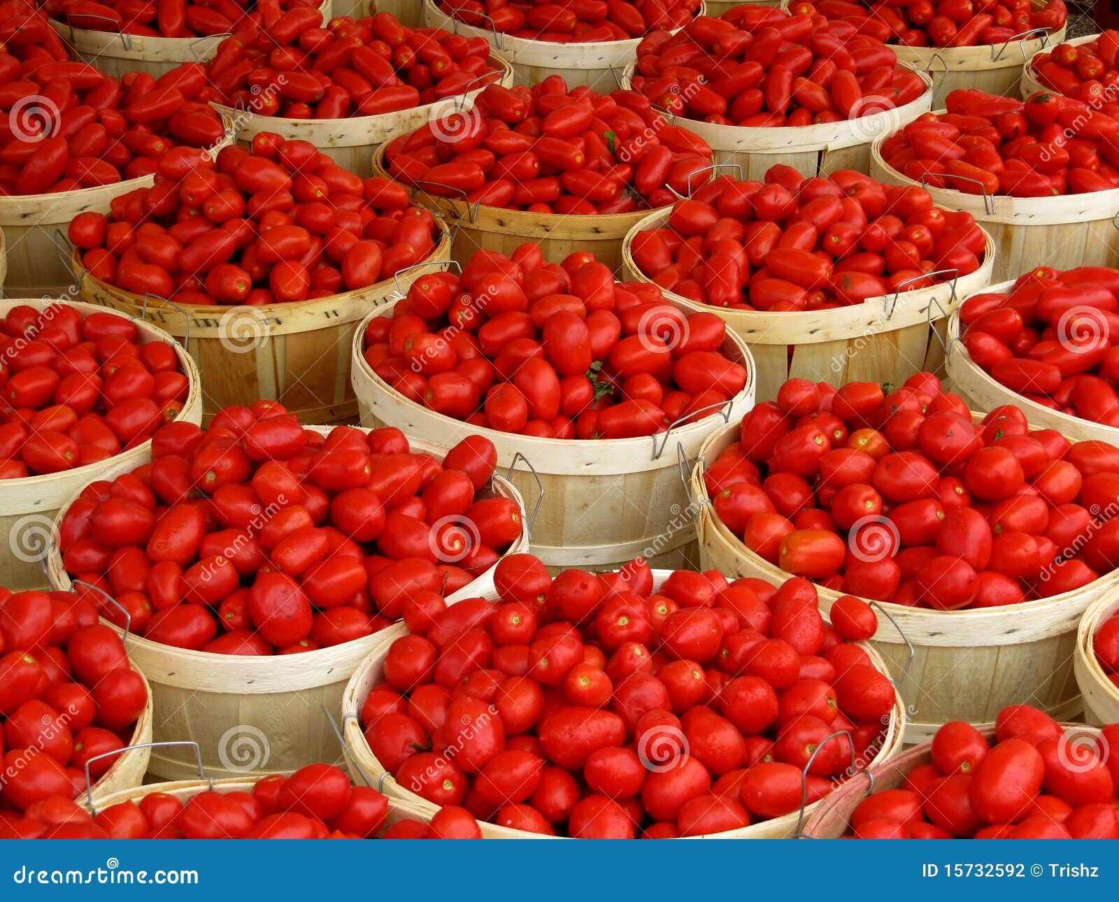 Baskets of Tomato